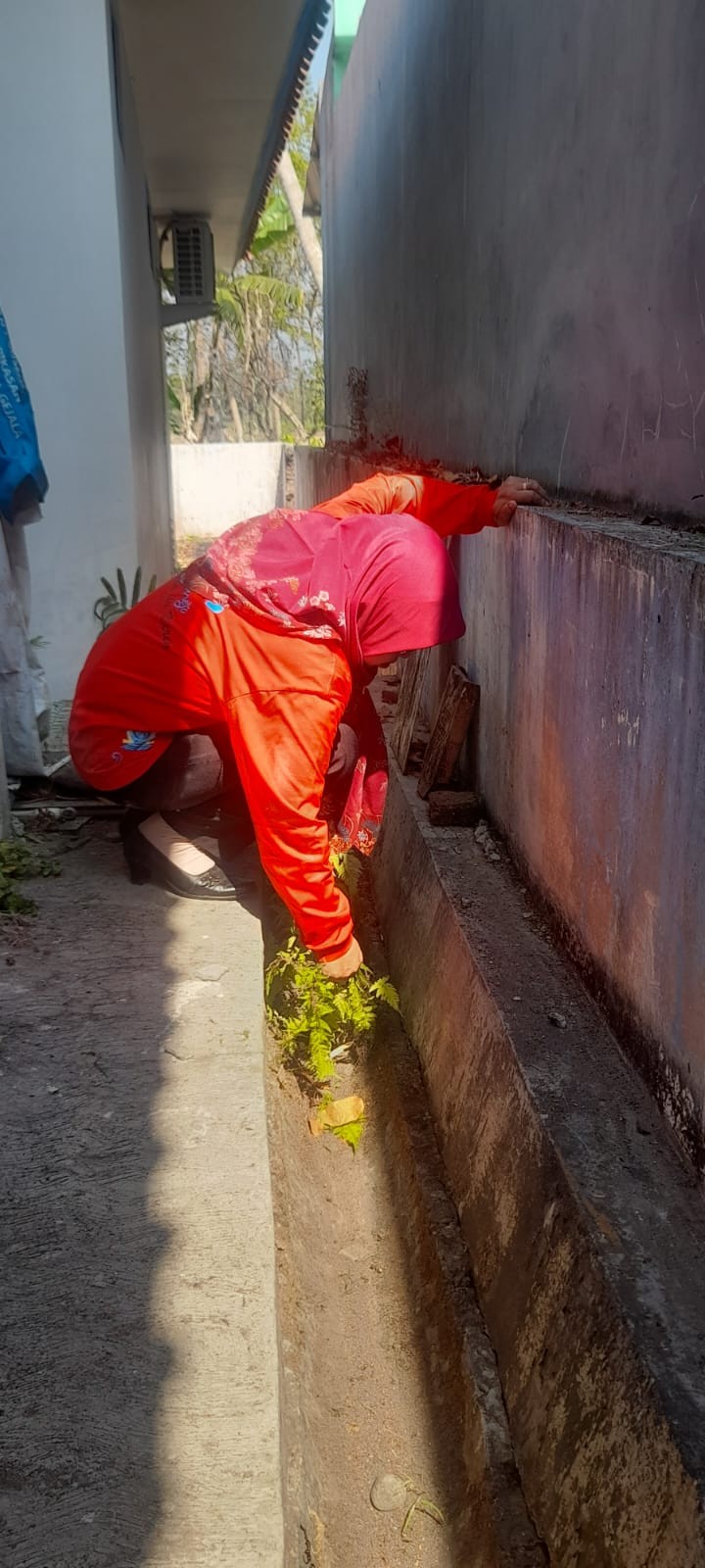 gebang_wcd.jpg